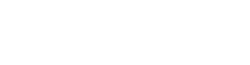 PayPerQ